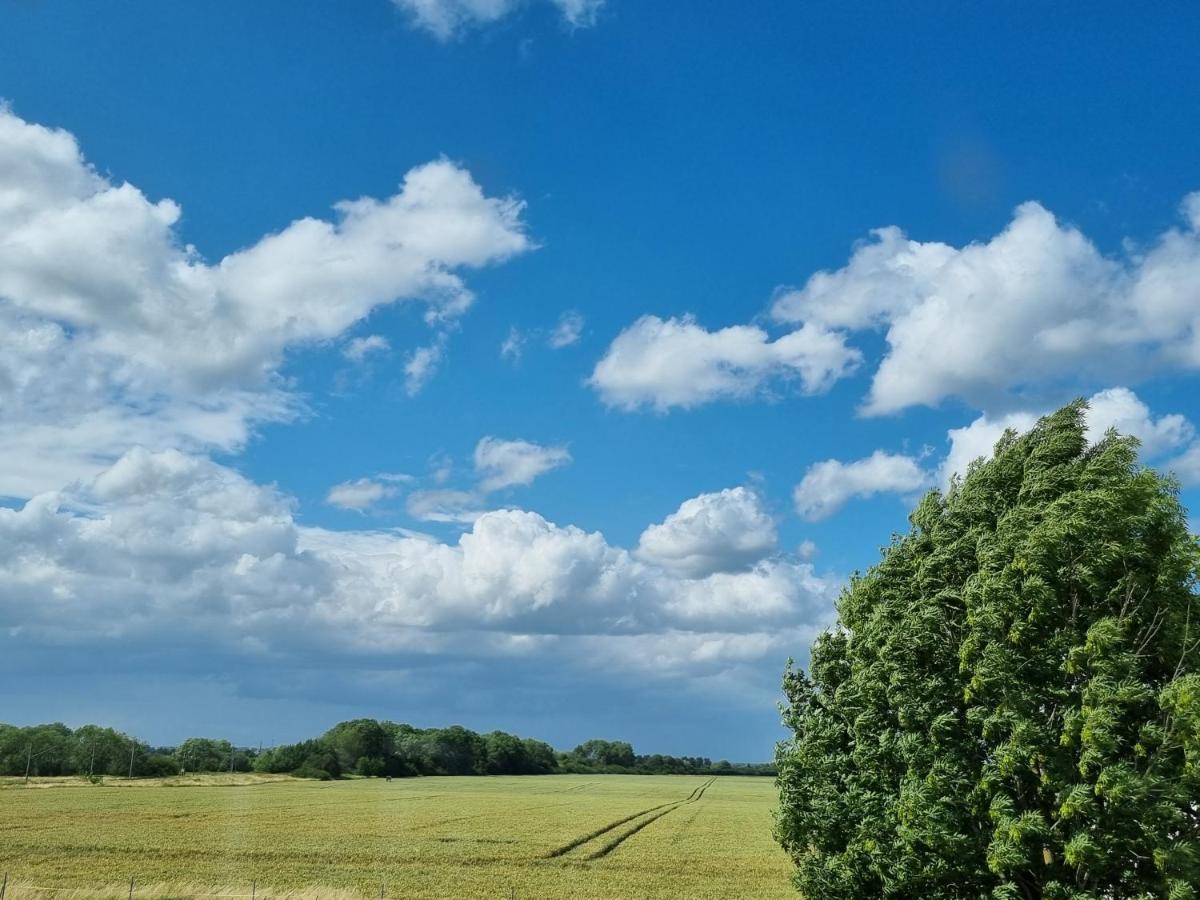 Scheune In Ostseenaehe Auch Mit Pferd Ducherow Exterior foto